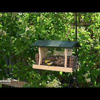 Hopper Feeder with Suet Cages (71004)