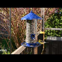 High Capacity Decorative Seed Feeder- Assorted Colours (10083)