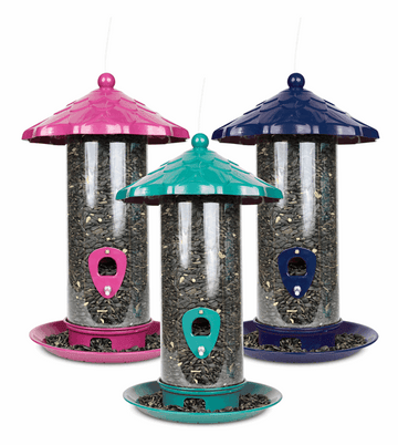 Purple coloured feeder on left, turquoise coloured feeder in the middle, dark blue coloured feeder on the right. 