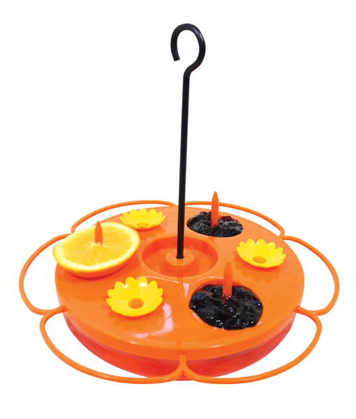 Circular tray feeder. There are yellow flower shaped feeding holes, along with spaces to add grape jelly and orange slices. 